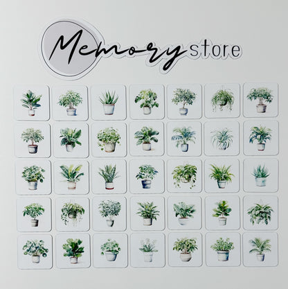 Roślinny zestaw mini