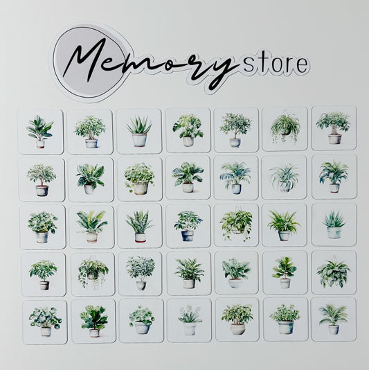 Roślinny zestaw mini