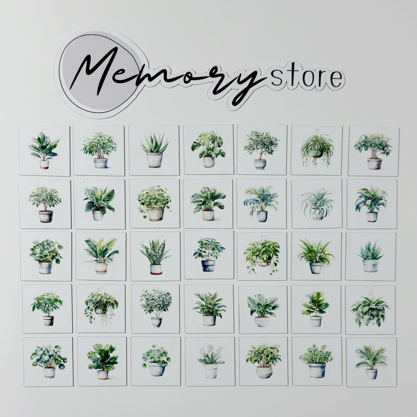 Roślinny zestaw mini