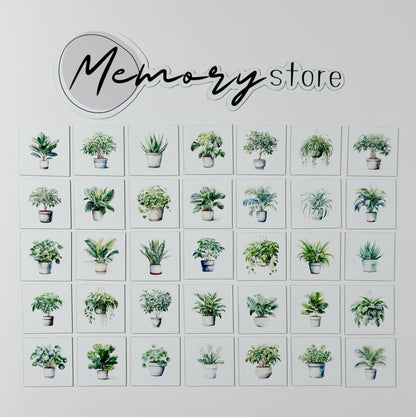 Roślinny zestaw mini